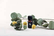 Essential Oils by Potion Kitchen