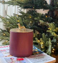 Curious Encounter Candle by Il Était Une Fois