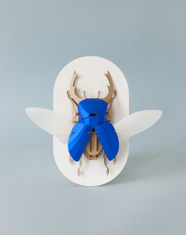 Paper Beetle Kit in Deep Blue Metallic