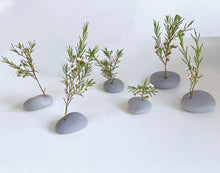 Tiny Ripples Concrete Set by Il Était Une Fois